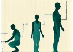 Illustrazione di un corpo che si rilassa progressivamente, muscolo per muscolo